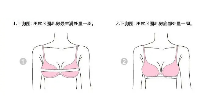 胸围怎么测量